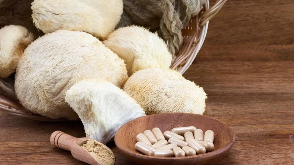 Crinière de lion : Hericium erinaceus : champignon naturel pour cerveau vif et esprit clair