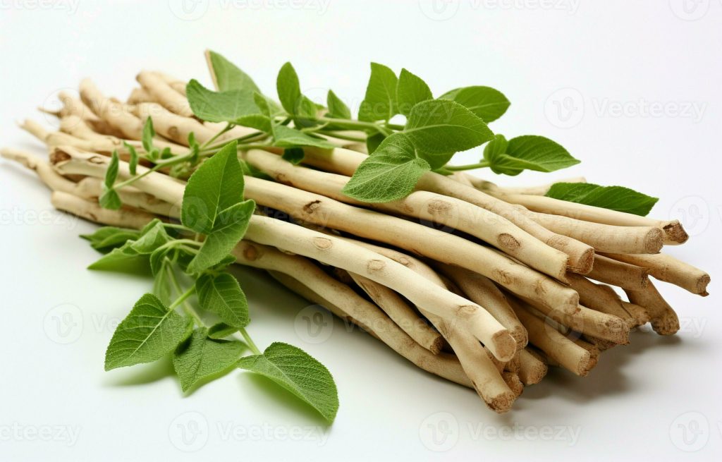 Ashwagandha racine et poudre anti-stress naturel avec extraits en flacon et feuilles vertes