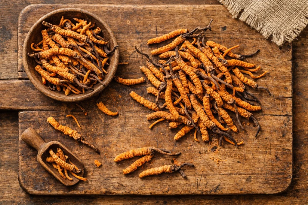 Cordyceps : boostez votre énergie et vos performances naturellement