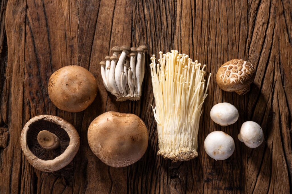 Les 5 meilleurs champignons pour maigrir