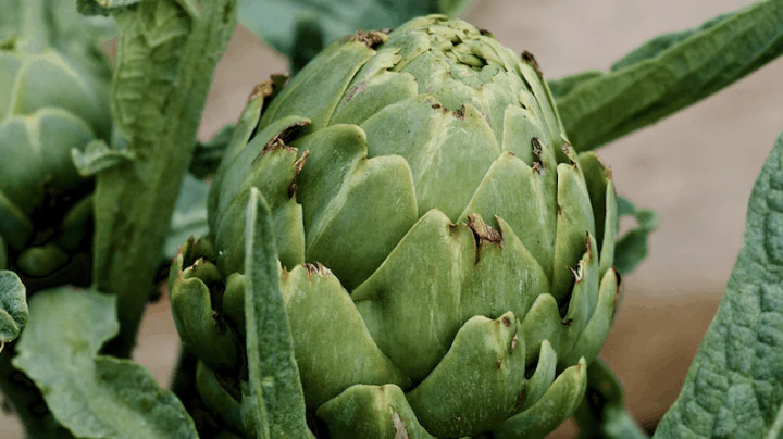 Artichaut : le légume détox aux multiples bienfaits
